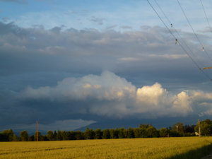 t4 Skagit Valley skies